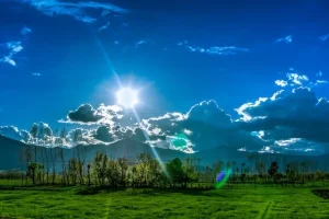 Starting Life in Australia